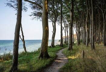 Rügen 8